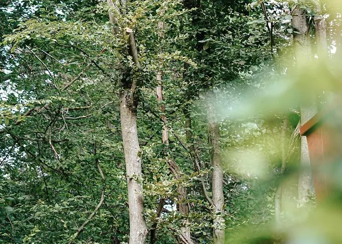 Bobble Centre - Jacuzzi - Sauna - Netflix * Mons